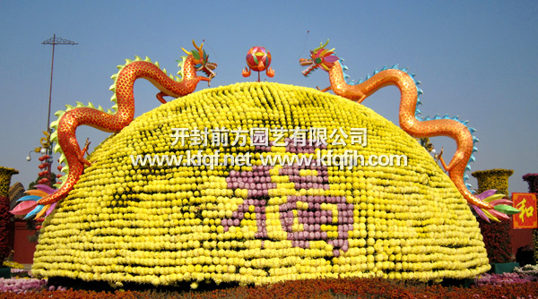 菊花花壇之雙龍戲珠