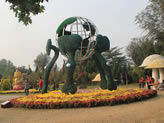 開封龍亭公園菊展