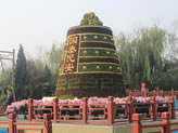 開封清明上河園菊展