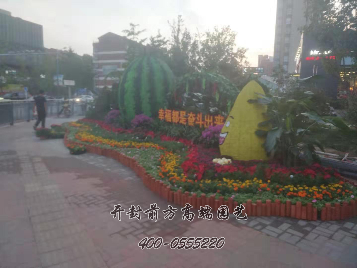 北京大興區菊花造型修飾