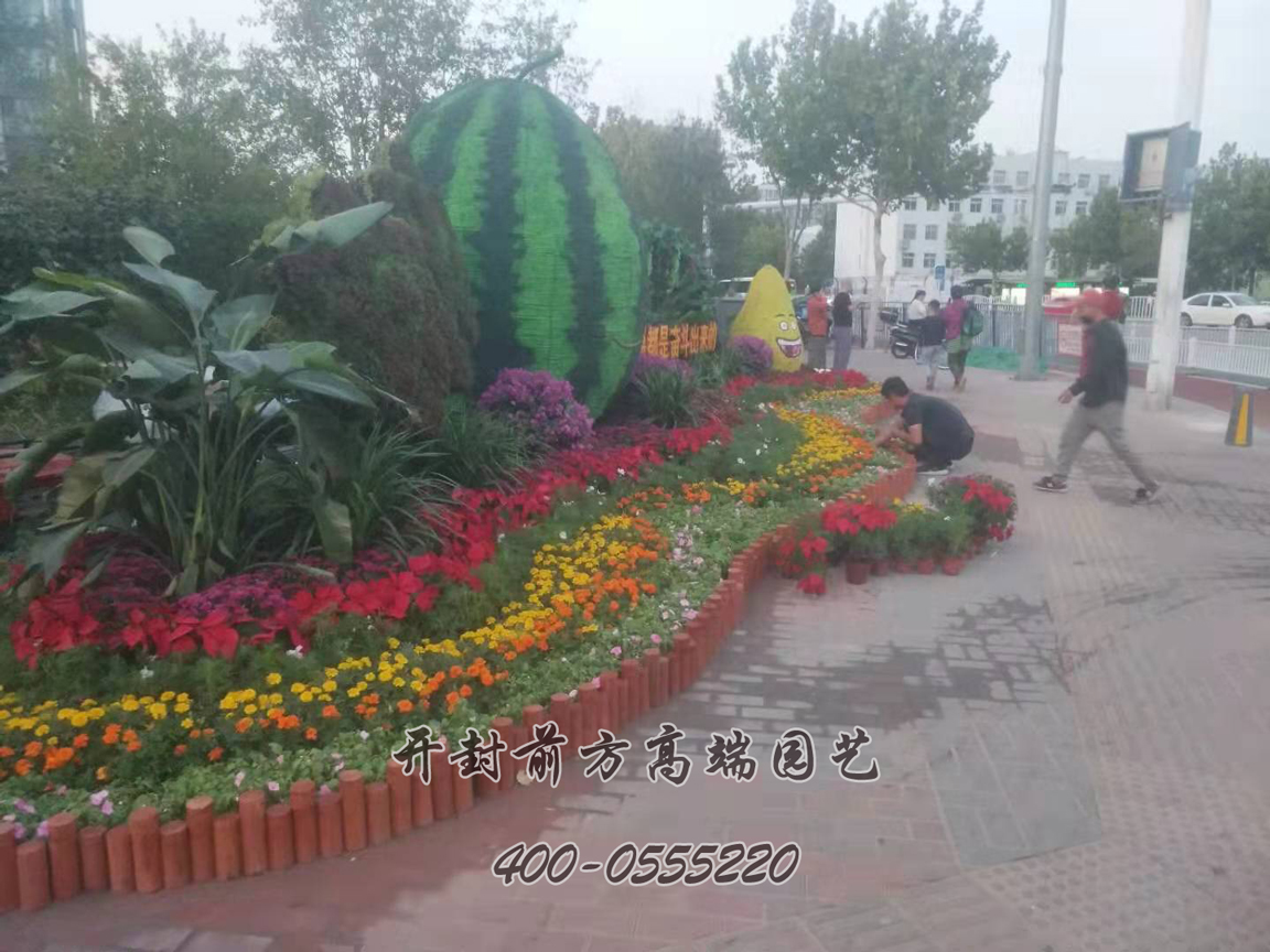 北京大興區菊花造型修飾