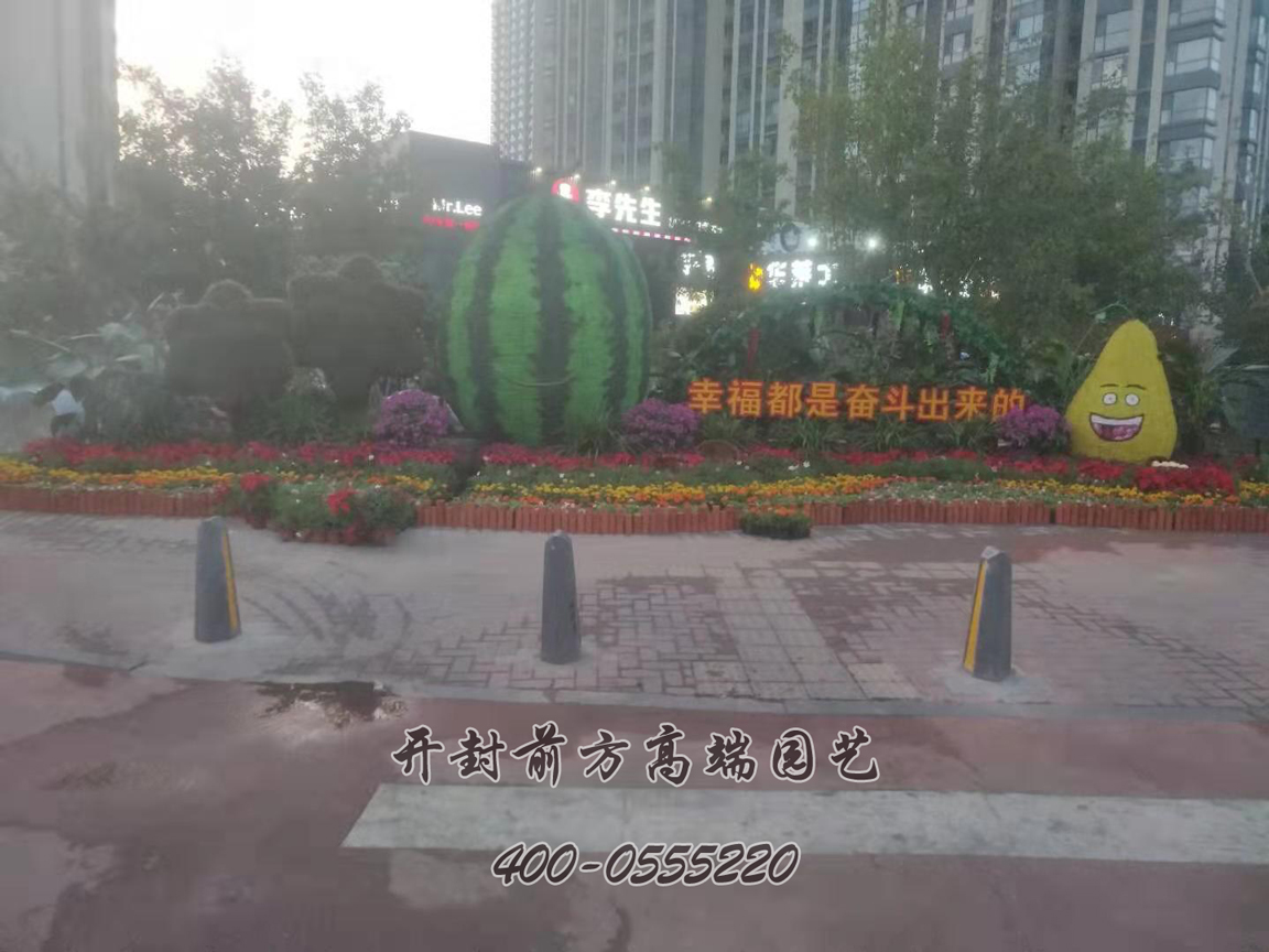 北京大興區菊花造型修飾