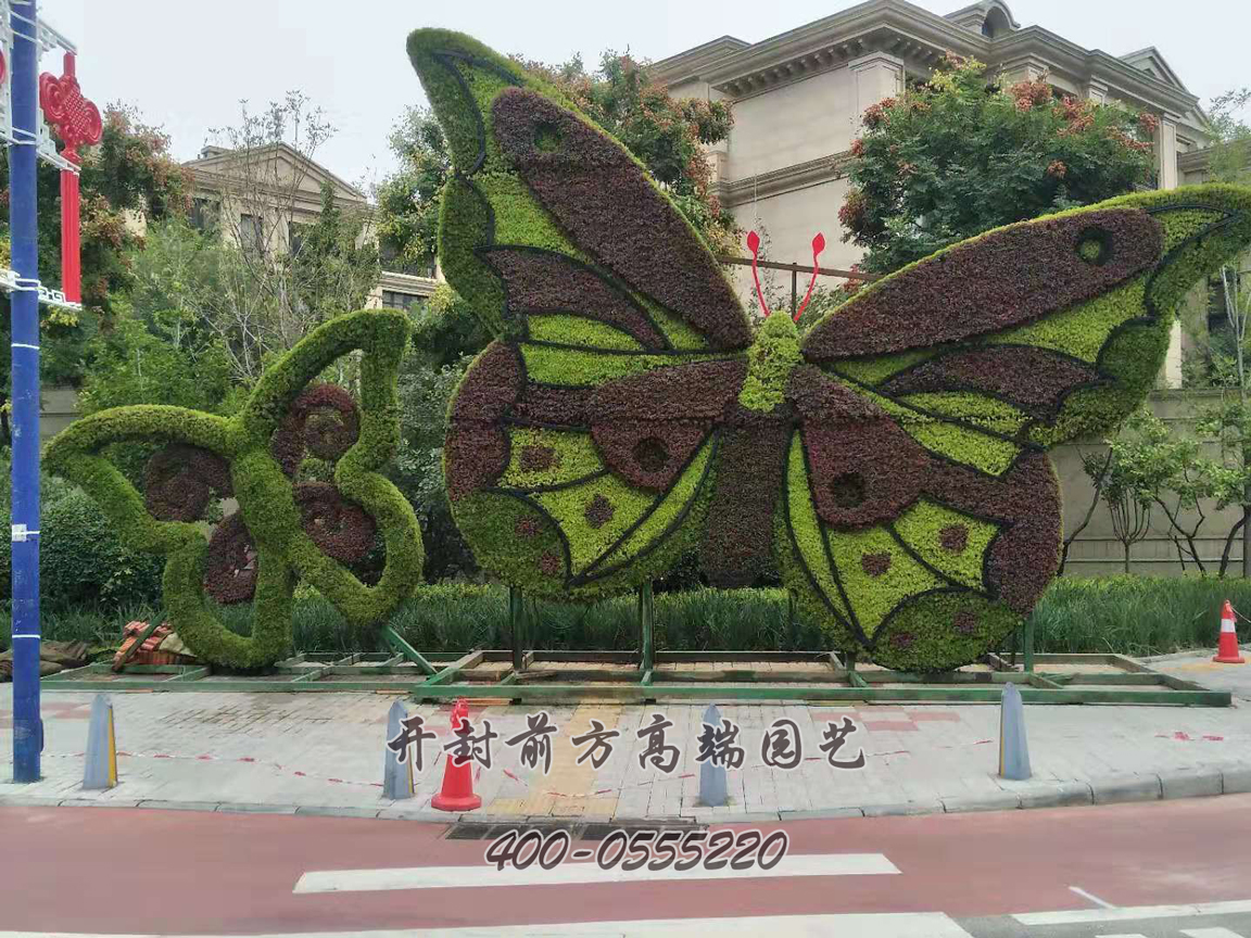 北京大興區菊花造型修飾
