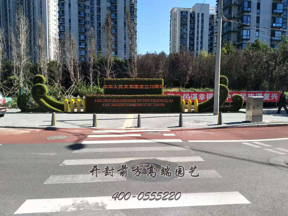 北京大興區菊花造型修飾