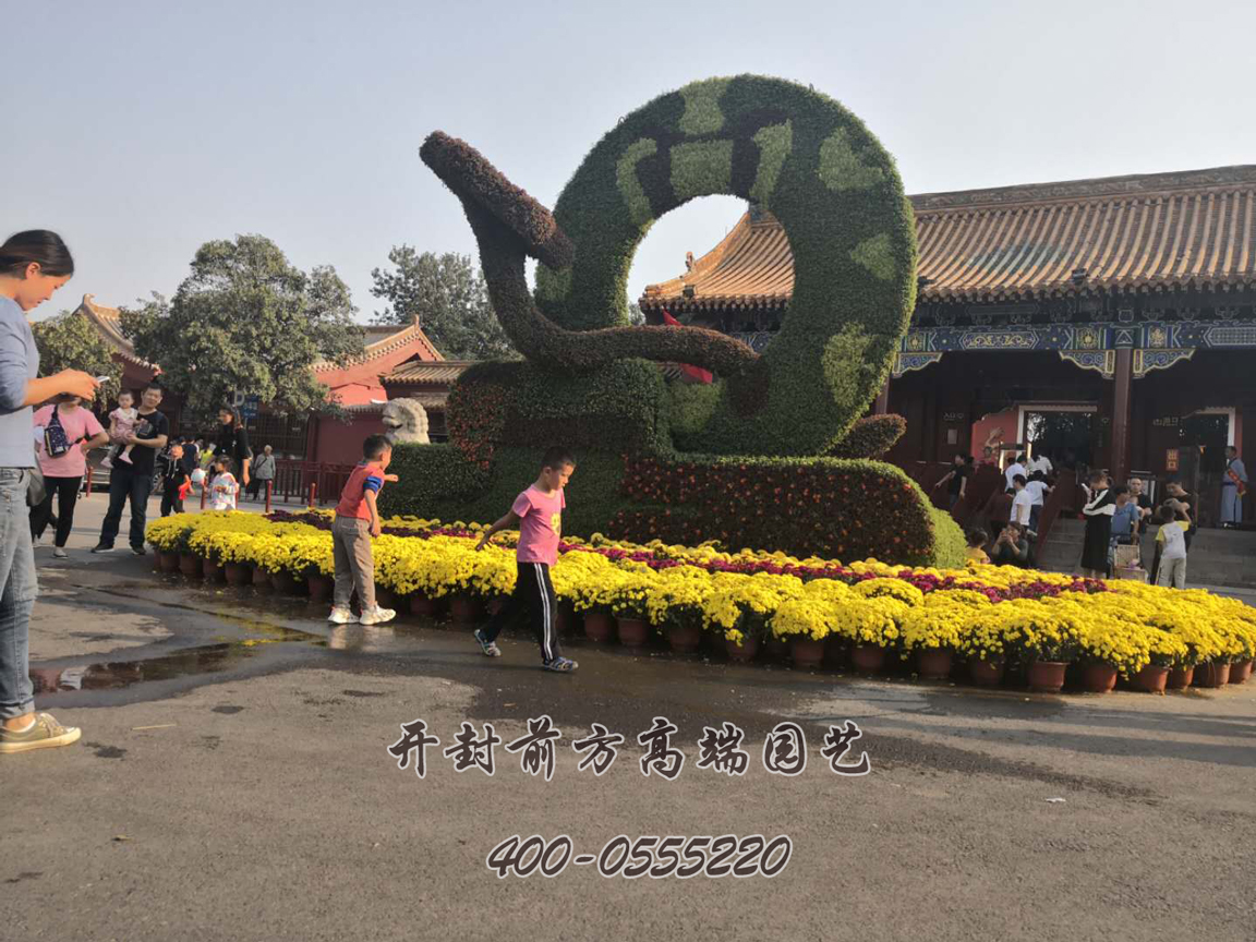 開封龍亭北門藝菊菊花